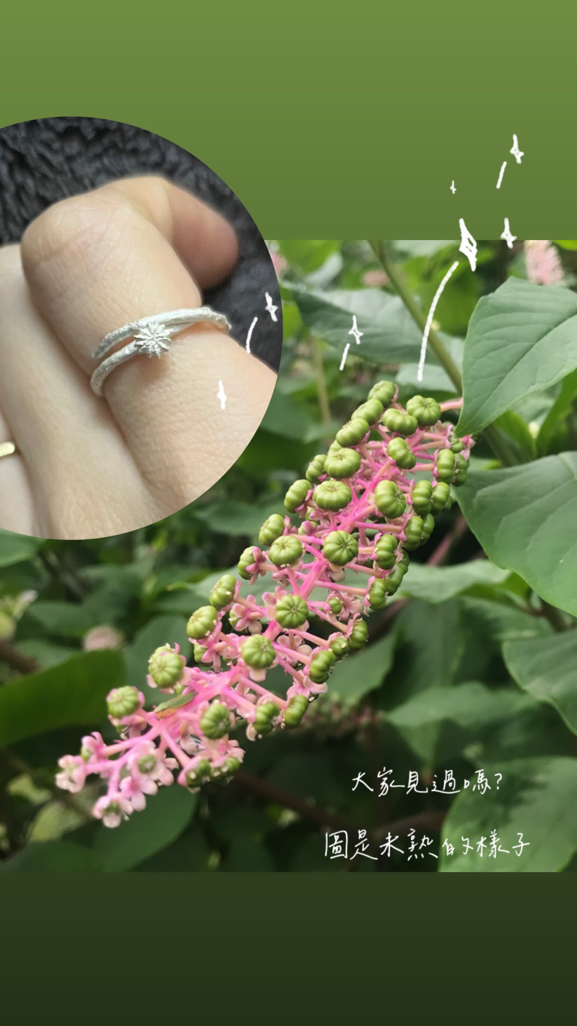 サビ 錆 𓇚 Inkberry Ring