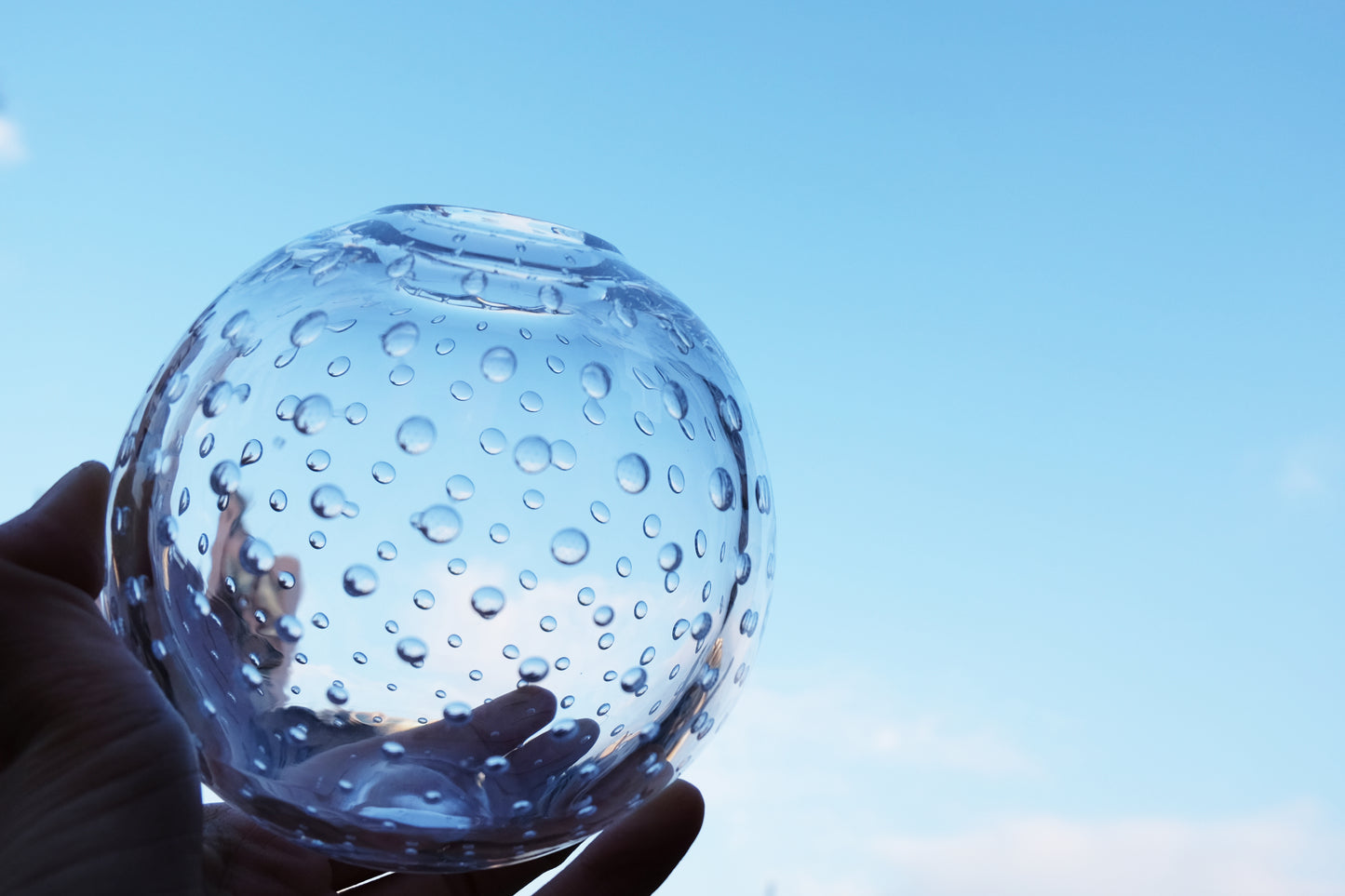 Bubble Glass Vase 泡泡花器