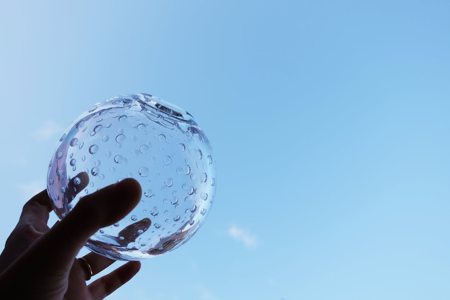 Bubble Glass Vase 泡泡花器
