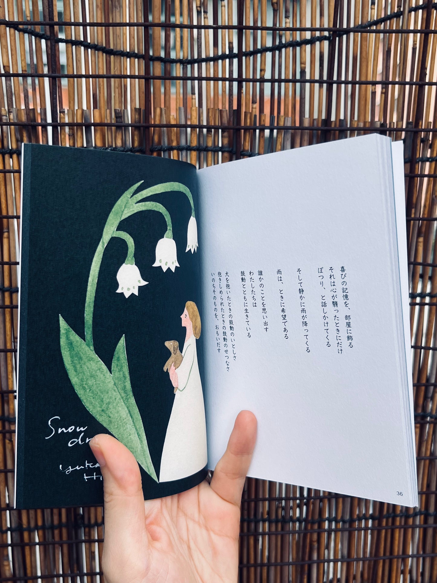 花と言葉 |柊有花 畫文集