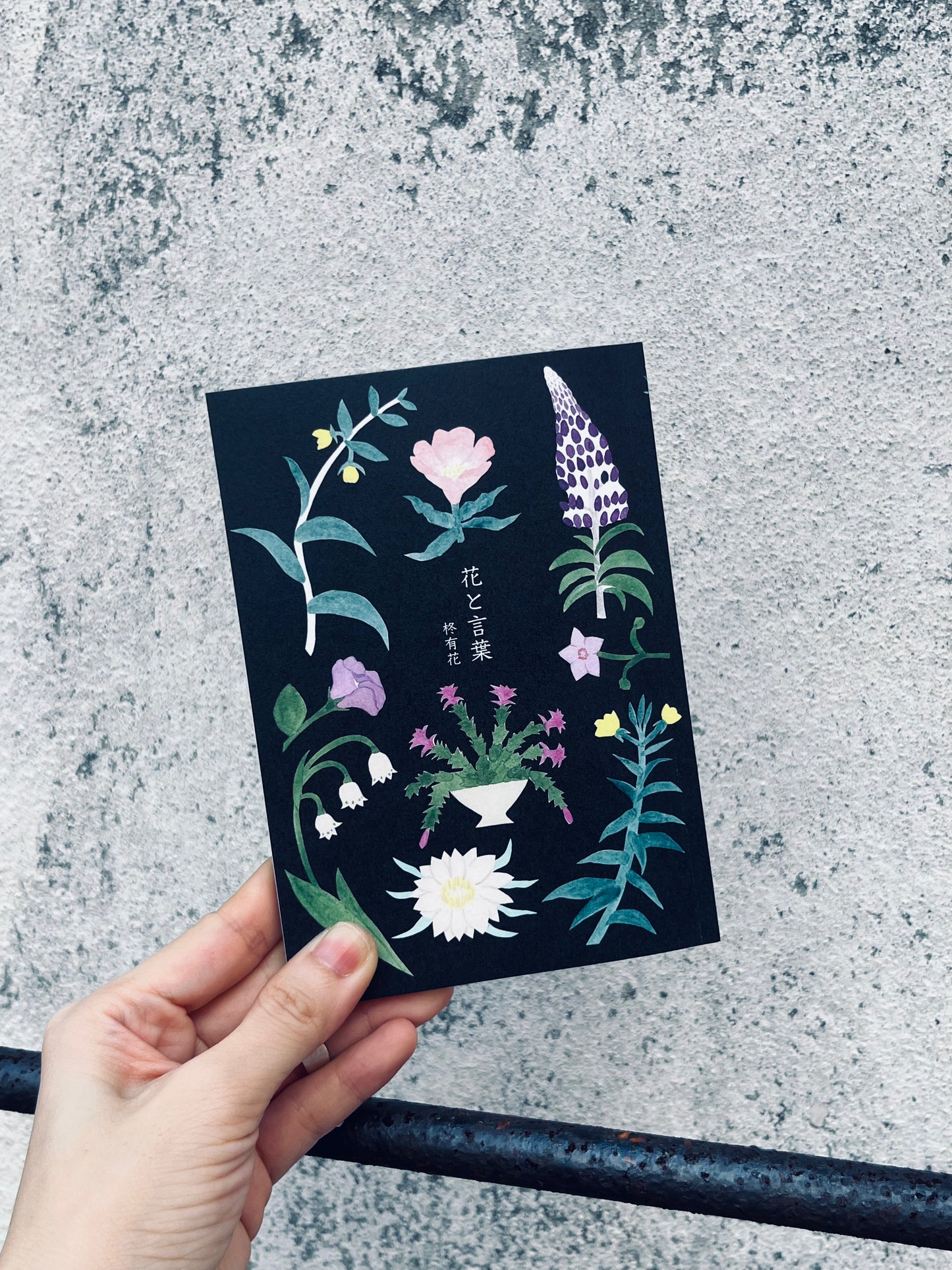 花と言葉 |柊有花 畫文集