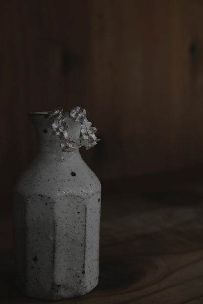 サビ 錆 𓇚 Baby Hydrangeas Ear Hoops H08