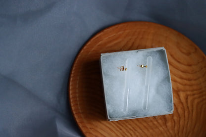 Glass Earrings